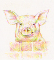 Scottish Pork Taboo